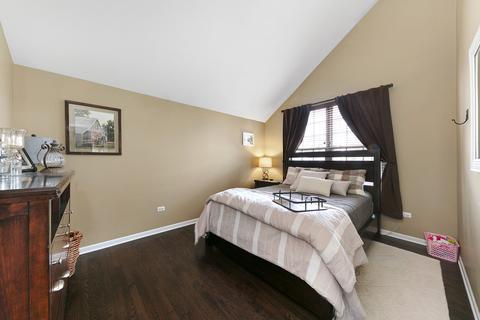 26215 Mapleview Dr, Plainfield, IL 60586 photo 24