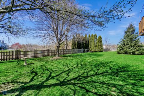 8 White Chapel Ct, Algonquin, IL 60102 photo 34
