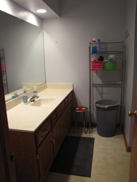 2241 Stonehaven Dr, Plainfield, IL 60586 photo 19