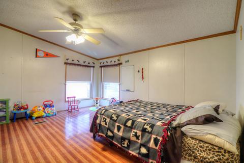 306 S David St, Sidney, IL 61877 photo 29