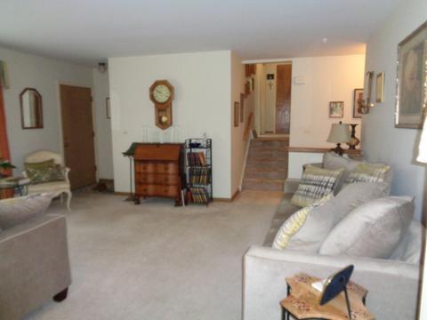616 Debra Dr, Des Plaines, IL 60016 photo 7