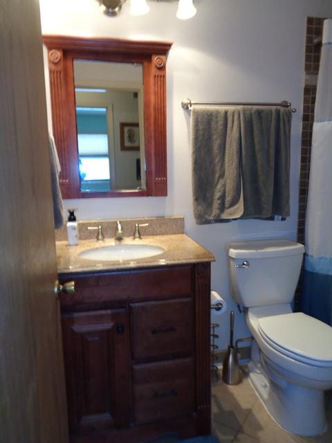 616 Debra Dr, Des Plaines, IL 60016 photo 13