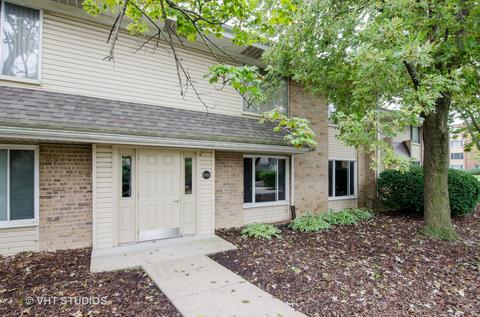 1745 Robin Walk #D, Hoffman Estates, IL 60169 photo 1
