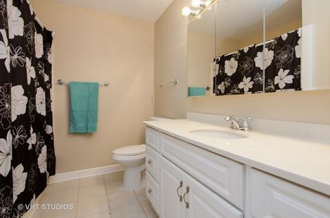 1745 Robin Walk #D, Hoffman Estates, IL 60169 photo 8