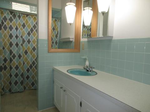 209 Veronica Way, Normal, IL 61761 photo 13