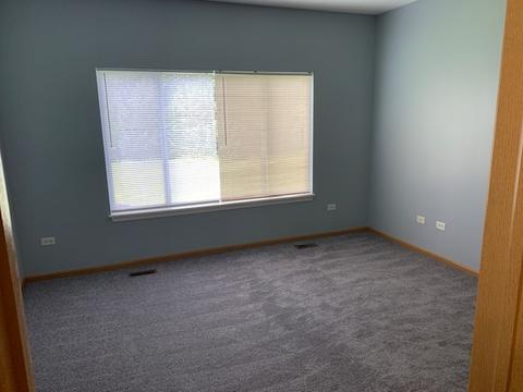 3029 Hoffman St, Plano, IL 60545 photo 11