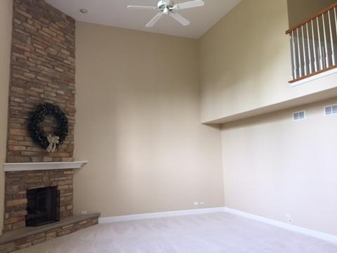 3911 Landsdown Ave, Naperville, IL 60564 photo 3