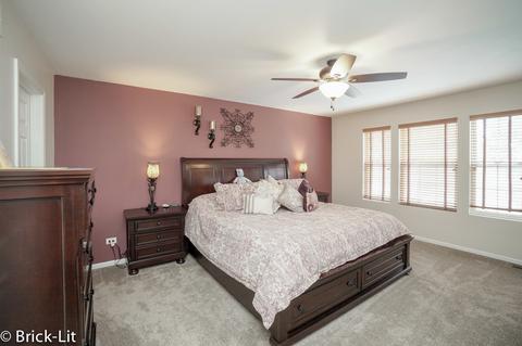 24262 Leski Ln, Plainfield, IL 60585 photo 11
