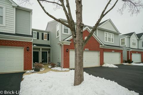 24262 Leski Ln, Plainfield, IL 60585 photo 1