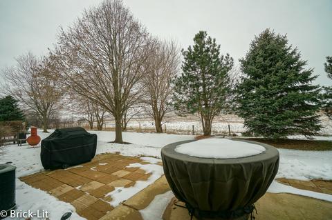 24262 Leski Ln, Plainfield, IL 60585 photo 20