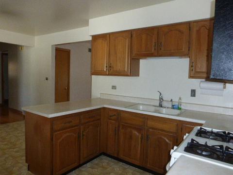 705 Hatlen Ave, Mount Prospect, IL 60056 photo 20
