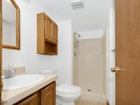 423 Pasadena Ave, Beecher, IL 60401 photo 13