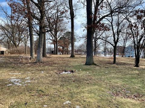 5 Hickory Ave, Aurora, IL 60505 photo 5