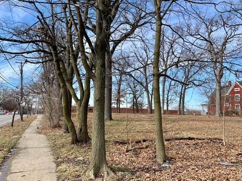 5 Hickory Ave, Aurora, IL 60505 photo 7