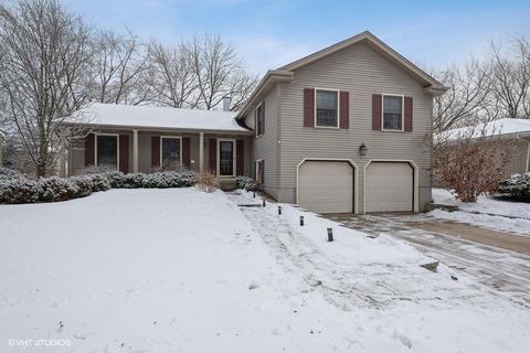 1561 Burning Trl, Wheaton, IL 60189 photo 1