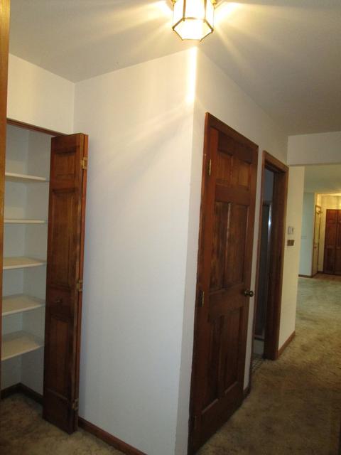 1036 Devonshire Ave, Naperville, IL 60540 photo 13