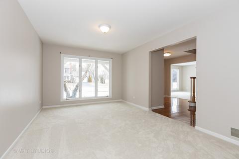 301 Chatelaine Ct, Willowbrook, IL 60527 photo 9