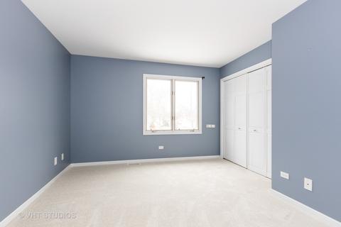 301 Chatelaine Ct, Willowbrook, IL 60527 photo 14