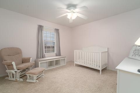 12573 Mitchell Dr, Plano, IL 60545 photo 20