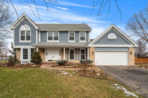 1138 Fieldstone Ln, Bartlett, IL 60103 photo 1