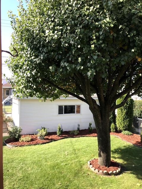 4064 N Meade Ave, Chicago, IL 60634 photo 32