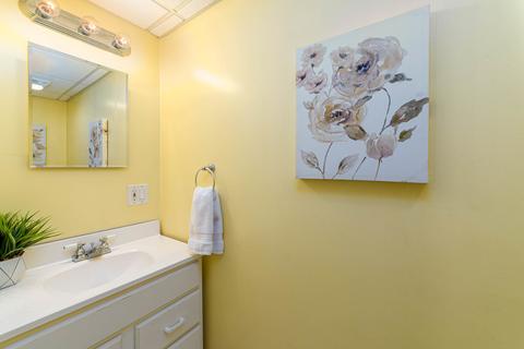 1285 Wandsworth Cir, Roselle, IL 60172 photo 13