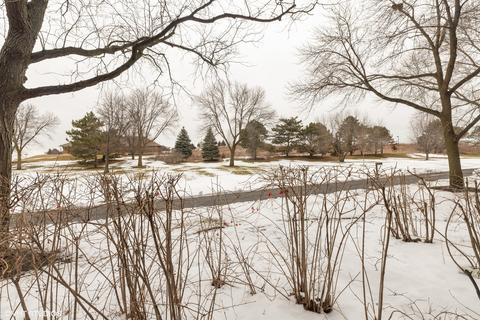 2020 Chestnut Ave #106, Glenview, IL 60025 photo 15