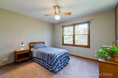 4855 Fesseneva Ln, Naperville, IL 60564 photo 13