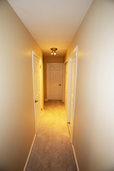 9 Graymoor Ln, Olympia Fields, IL 60461 photo 15