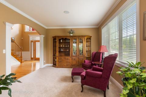 12710 Skyline Dr, Plainfield, IL 60585 photo 8