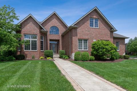 12710 Skyline Dr, Plainfield, IL 60585 photo 1