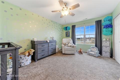13018 Conifer St, Plainfield, IL 60585 photo 20