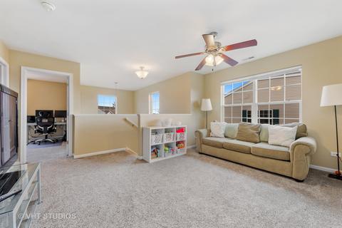13018 Conifer St, Plainfield, IL 60585 photo 16