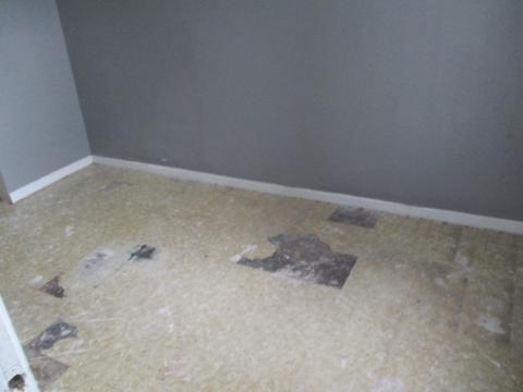 6835 S Champlain Ave, Chicago, IL 60637 photo 9