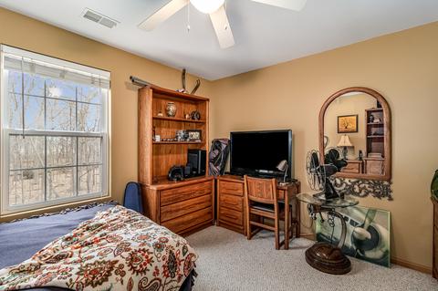4055 Oak Tree Ln, Plainfield, IL 60586 photo 20