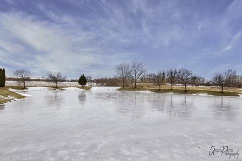 31673 N Pineview Blvd, Lakemoor, IL 60050 photo 39