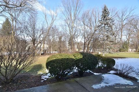 696 Grange Ct, Wheaton, IL 60189 photo 35