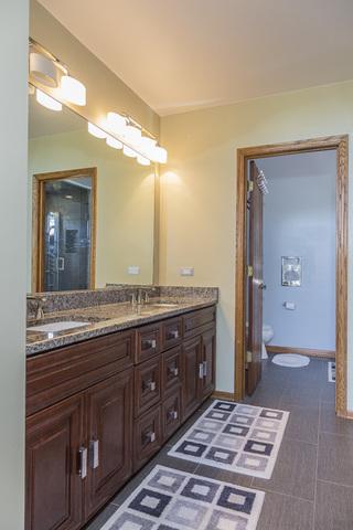 729 Braintree Ln, Bartlett, IL 60103 photo 16