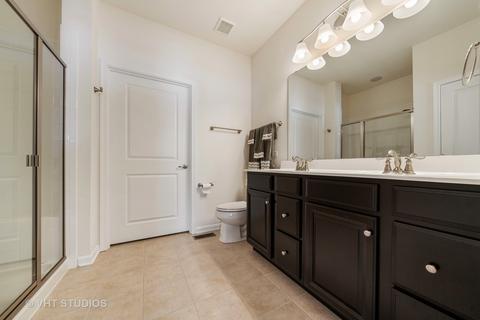 12908 White Pine Way, Plainfield, IL 60585 photo 10
