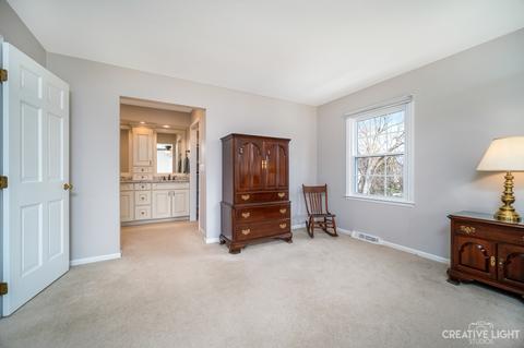 534 Hevern Dr, Wheaton, IL 60189 photo 14