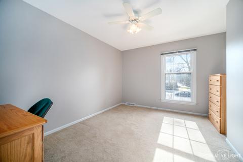 534 Hevern Dr, Wheaton, IL 60189 photo 17