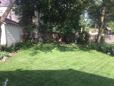 207 S Prospect St, Wheaton, IL 60187 photo 16