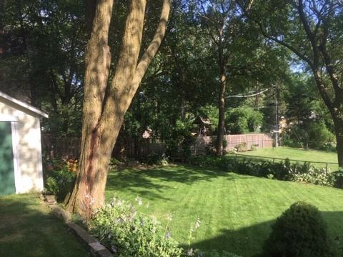 207 S Prospect St, Wheaton, IL 60187 photo 18