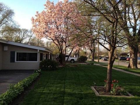 16 W Manchester Dr, Wheeling, IL 60090 photo 20