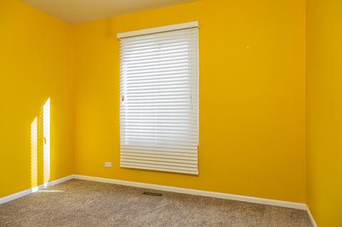 318 Mansfield Ct, Bartlett, IL 60103 photo 9