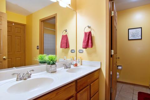 1094 Horizon Dr, Bartlett, IL 60103 photo 21
