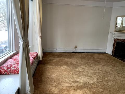 1339 E 50th St, Chicago, IL 60615 photo 9