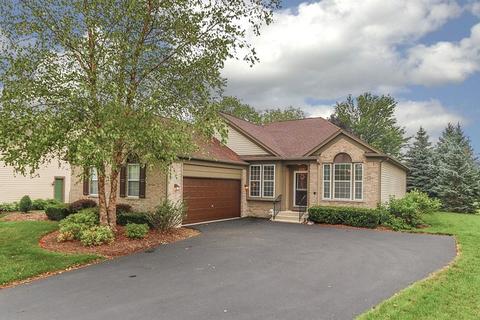 4231 Whitehall Ln, Algonquin, IL 60102 photo 1