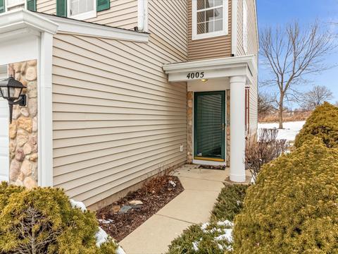 4005 Oak Tree Ln, Plainfield, IL 60586 photo 4