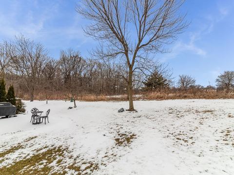 4005 Oak Tree Ln, Plainfield, IL 60586 photo 7